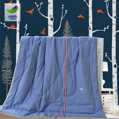 儿童夏凉被纯棉水洗棉卡通幼儿园午休夏被 可爱婴幼儿被子