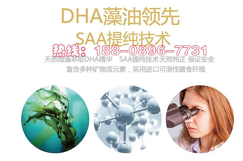 DHA藻油粉加工厂tel-188-0896-7731.jpg