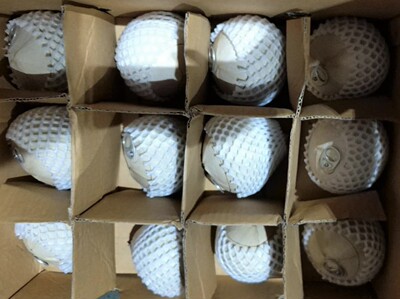 泰国易拉椰青（24个一箱更优惠泰国新鲜进口椰子椰皇）厂家直销|ms