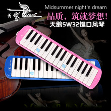 SWAN���Z32�I���L�٘��� ��ͯ�W�����W�̌W����