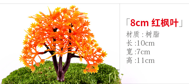 xq241 8cm red maple leaves.jpg