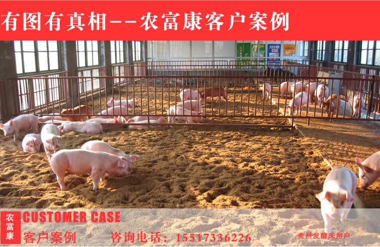 发酵床养猪案例分析