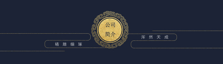 公司简介5