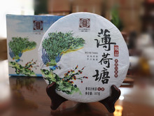 2017年茶鼎房 雲南普洱 薄荷塘 生茶一口料 名山系列 精美禮盒裝