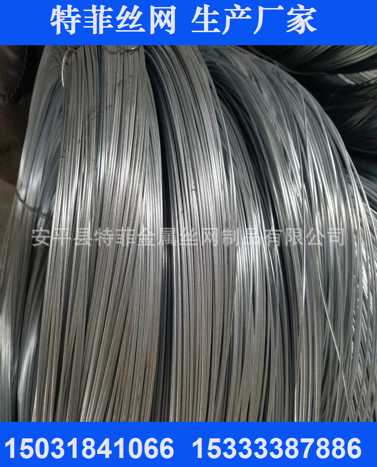 现货供应BWG8# 电镀锌铁丝   防汛铅丝 200千克左右自然卷过磅