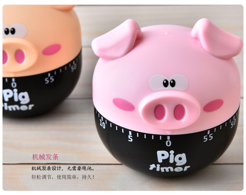 RB543小猪定时器10.jpg