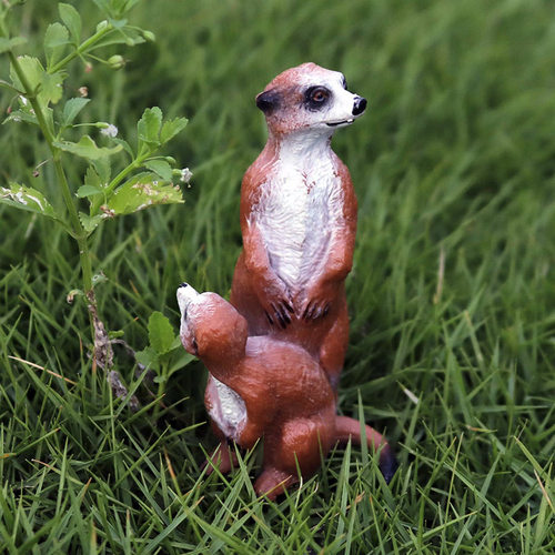 Simulated wild animal model solid meerkat with cubs standing meerkat bog meerkat toy ornaments hand figure wholesale