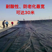 厂家直销黑色抗酸性养殖防渗布防渗膜190克水池布矿山特用防老化