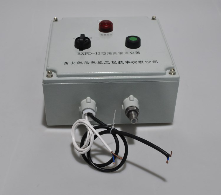 厂家直销内燃式沼气火炬高能点火器 沼气火炬点火放散装置