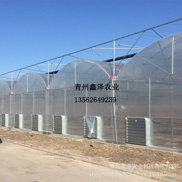 简易连栋温室果蔬养殖花草幼苗培育温室大棚厂家直供可定制