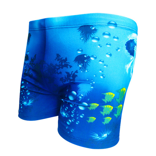 New style swimming trunks for men with boxer print, plus size hot spring beach trunks, fashionable men's swimwear, professional swimming trunks wholesale
