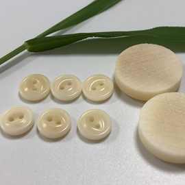 厂家直销天然环保果实纽扣 两孔鱼眼果实扣白色圆形衬衫纽扣LOGO
