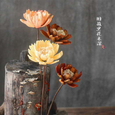 【令箭荷花】手工艺术干花原生态家居家饰荷花拍摄道具艺术干花|ms