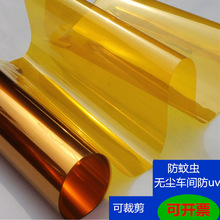 無塵室凈化室電子工廠專用黃光膜 防紫外線UV黃色玻璃貼膜 裝飾膜