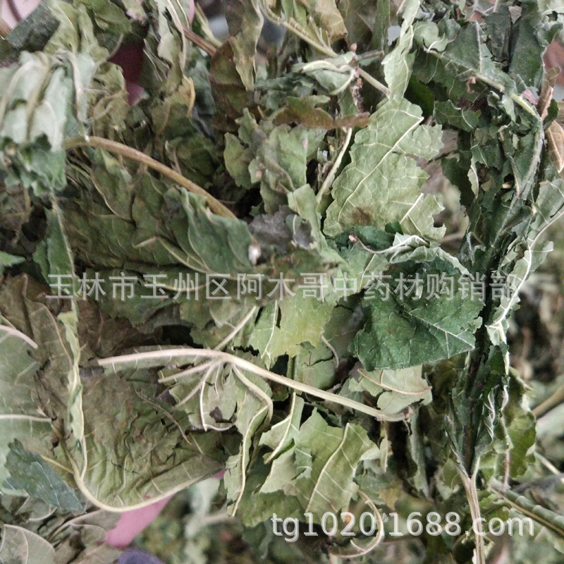 桑叶 中药材 双叶 霜叶冬桑叶 春桑叶 桑叶茶 干品 可打粉 干品-阿里巴巴