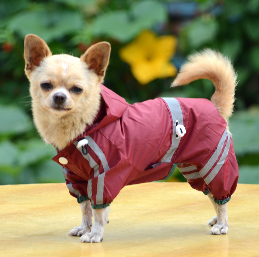 Pet Raincoat 9