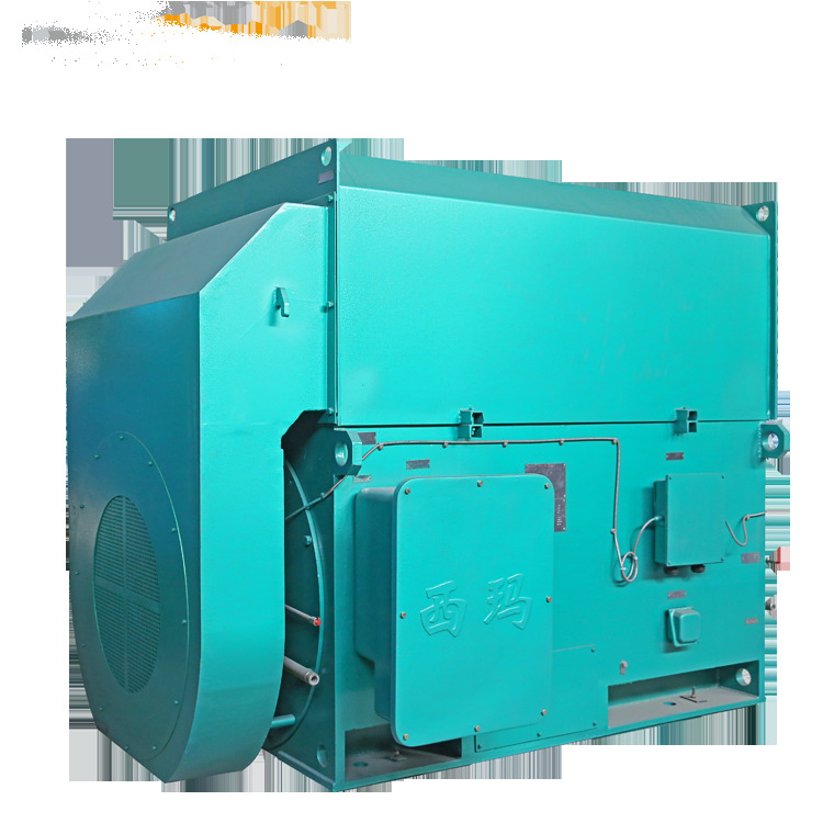 泰富西玛电机YKK6303-12 560KW 496rpm/10KV 三相异步高压电机