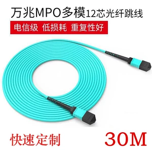 12 Core Multi-Model 40G/100G Caps 30M Fibre Plus Line MPO-MPO/MTP OM3/OM4 Transfer LC