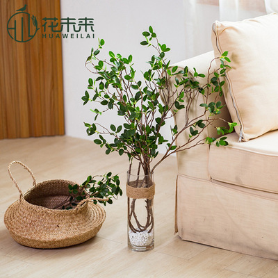 花未来仿真米兰叶仿真花卉绿植仿真手感绿植园林装饰工程用花绿植|ms