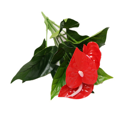 simulation Anthurium Green plant Potted plant Anthurium indoor Green balcony Office desktop Artificial flower bonsai