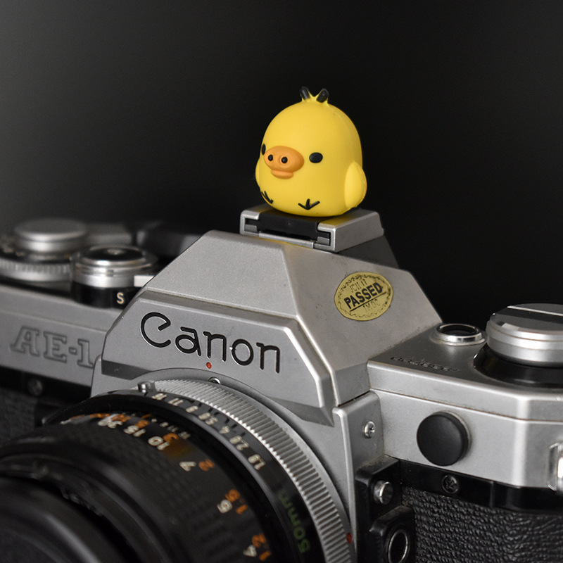 猪小鸡热靴盖 (3).JPG