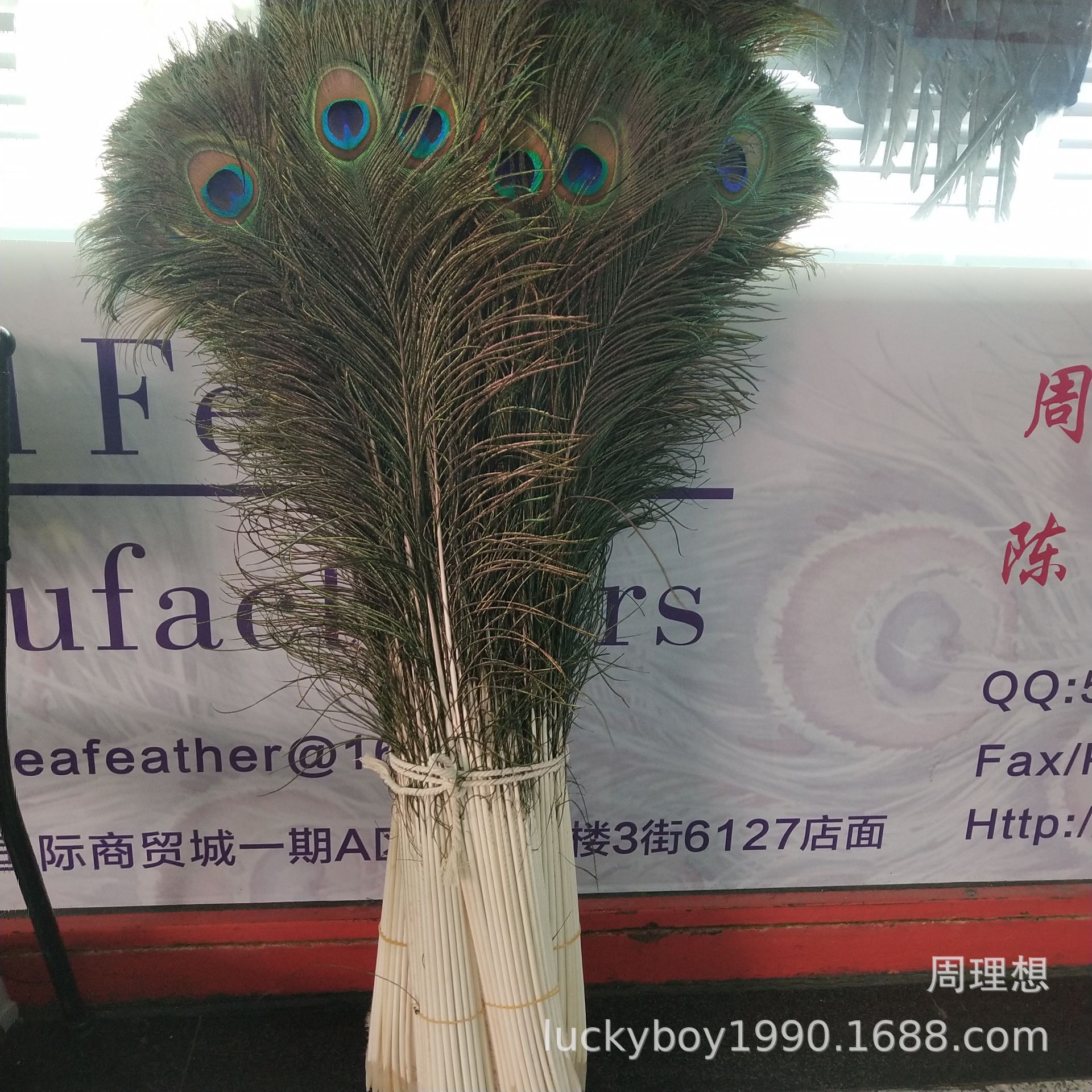 4AEA3E0FB4C0A9C1F1405D62BC9E66