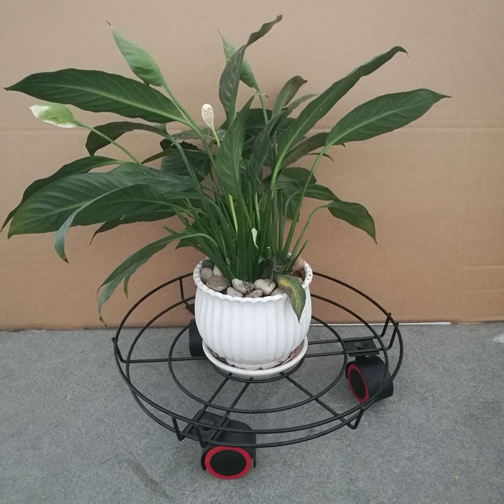 IMG_20180630_145257_副本