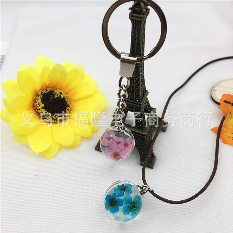 样品