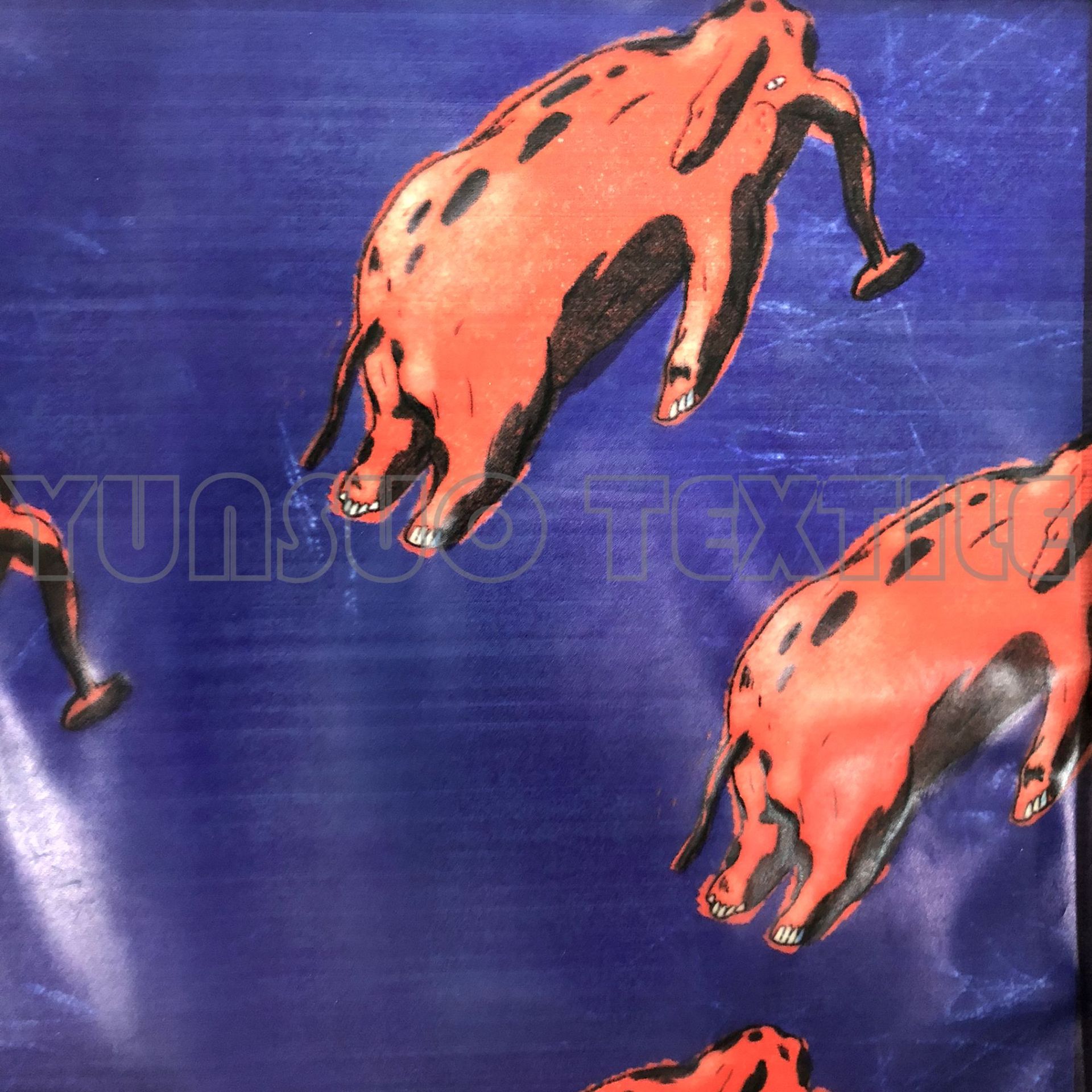 雾面透明 环保数码印花 街头风 时尚雨衣款休闲面料