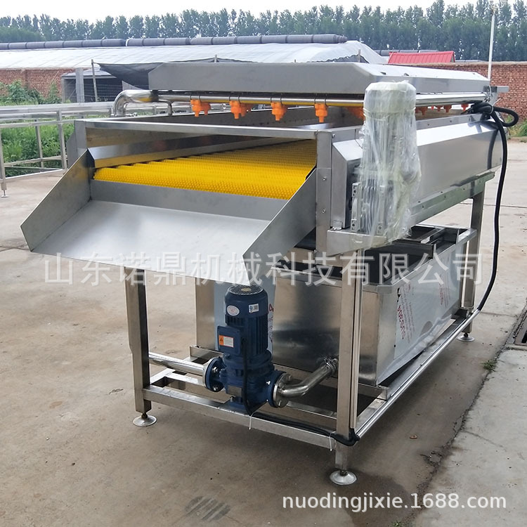 毛辊高压喷淋清洗设备 土豆芋头清洗去皮毛刷清洗机 诺鼎机械