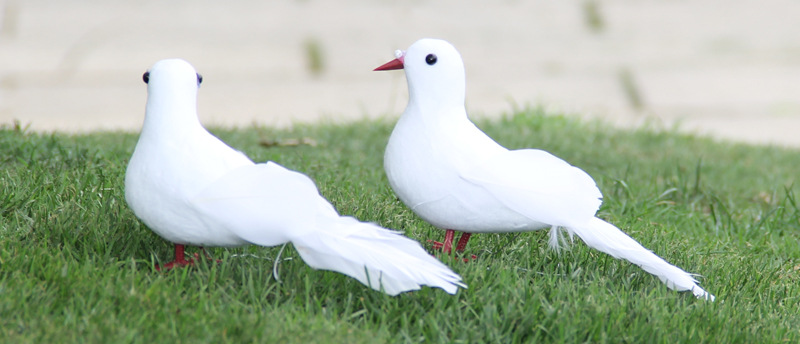 仿真小白鸽