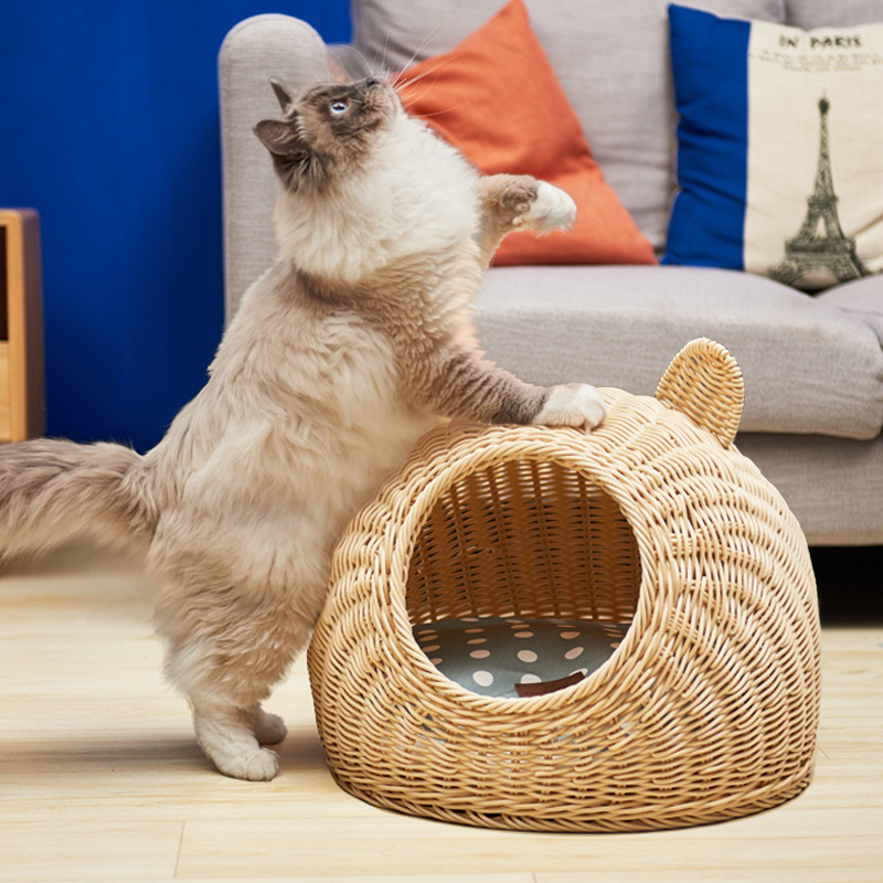 Гнездо для ротанга в летнем разборке и вымыл маленький домашний гнездо для кошачьего кошачьего гнезда.