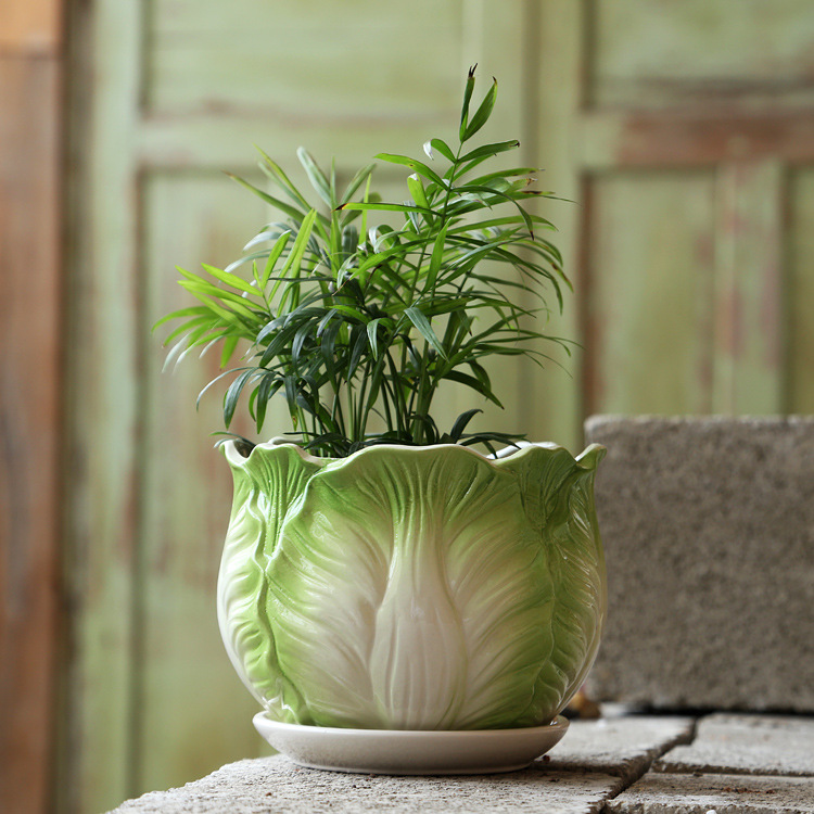 TB2SXuOwbRkpuFjSspmXXc.9XXa_!!