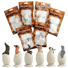 跨境热卖恐龙蛋鸟蛋鳄鱼蛋企鹅蛋玩具套装仿真动物孵化蛋幼崽模型