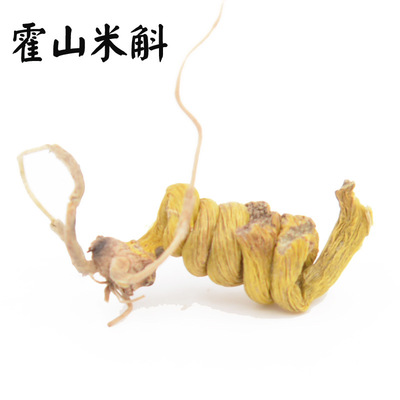 霍山米斛 龍頭鳳尾米斛鐵皮石斛霍山石斛原産地霍斛基地直銷批發