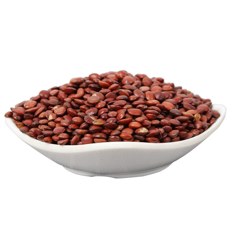 Suan Zao Ren (Ziziphus jujuba var. spinosa) — Dried Wild Jujube Seed for Tea & Soup key features