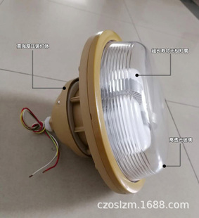 FGV6102��ˮ���m������S�o���ܟ�60W  �����o�O��SBF6102-YQL40W