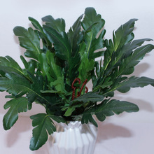 �҃��bGɫֲ� ����ާ�ֲ�ﲨ˹��ާ��¹�ǲ���X�~�B���~