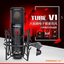 Magic-V/玛西亚 TUBE V1电子管双振膜电容麦克风话筒 一件代发