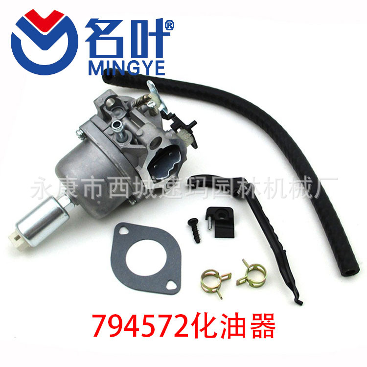 Briggs & Stratton 794572