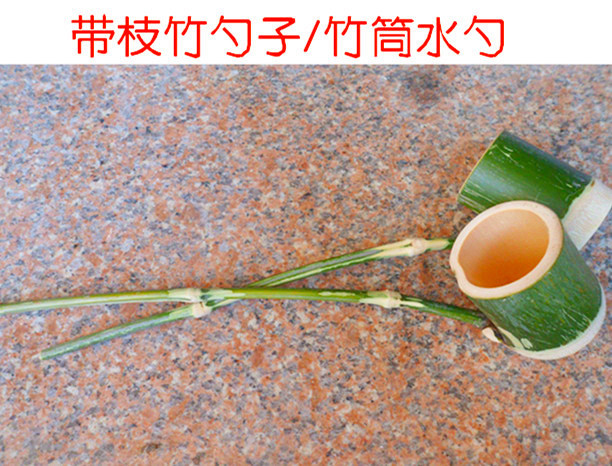天然壹體竹筒帶枝竹筒竹水勺竹勺子舀酒勺澆花勺竹制品