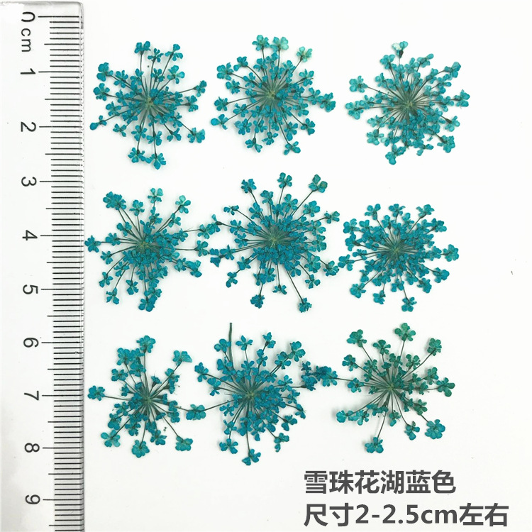 QQ图片20181124165924
