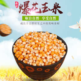 产地货源爆花玉米面农家自产五谷杂粮批发散装粗粮袋装非转基因