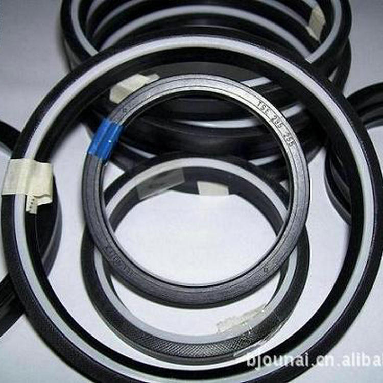 供应B+S宝色霞板密封件 巴塞尔密封 POLYPAC -BALSELE液压密封