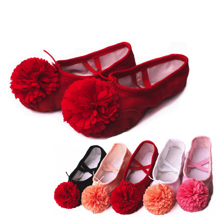 新款儿童演出花朵舞蹈鞋软底芭蕾舞练功鞋女成人瑜伽猫爪鞋批发