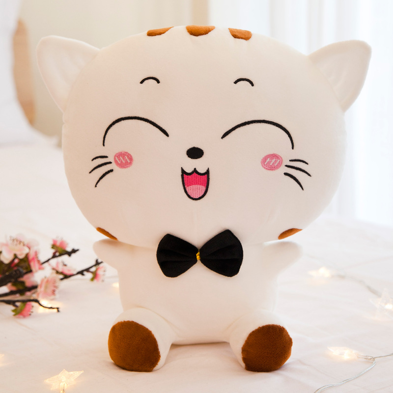 White squint big face cat