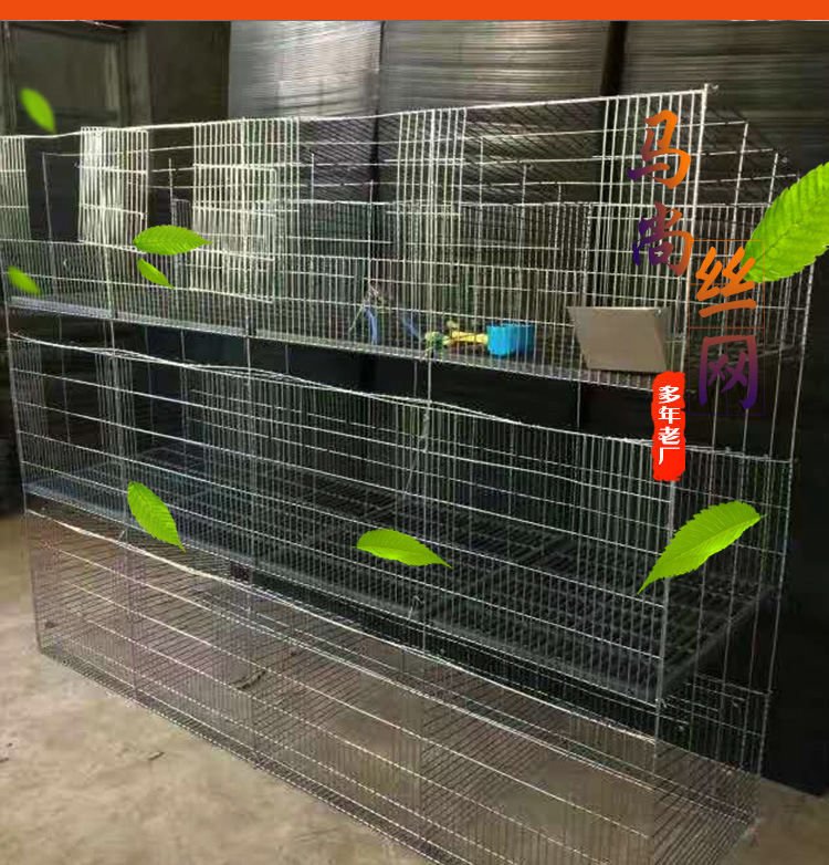 9235238417_423296225