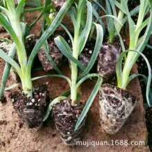 �L�ڹ��� ���Կ���ܰ�N�� �������^����ܰ�N�� ����ܰ�N��