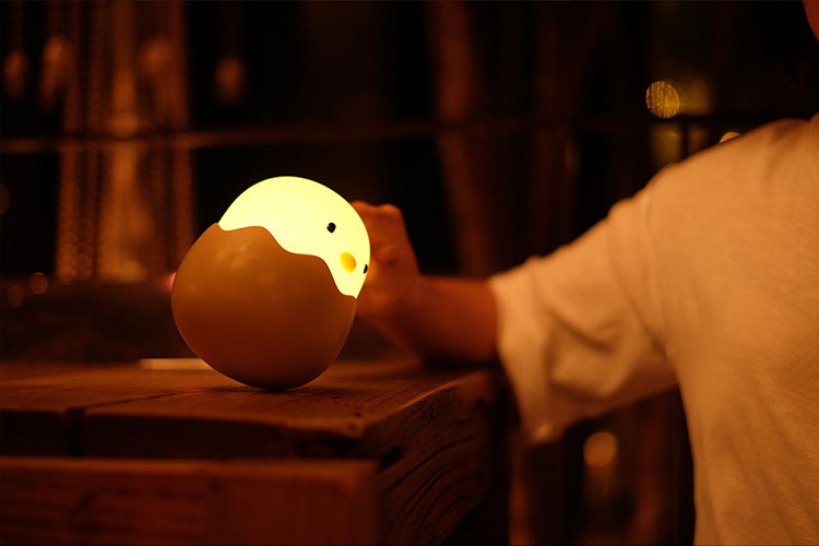 Eggshell Chicken Lamp Image 7