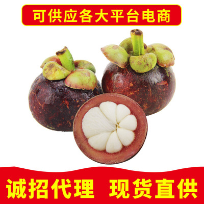 新鮮泰國4A山竹進口水果 2斤4斤裝壹件代發批發申通快遞